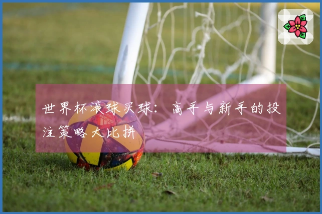 世界杯滚球买球：高手与新手的投注策略大比拼