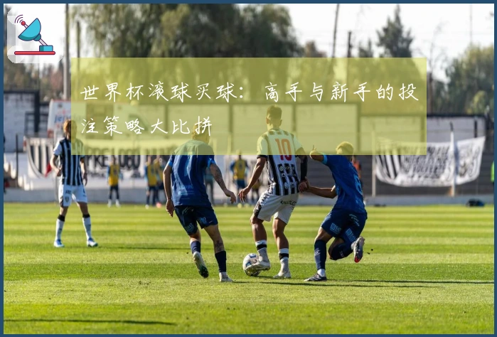 世界杯滚球买球：高手与新手的投注策略大比拼