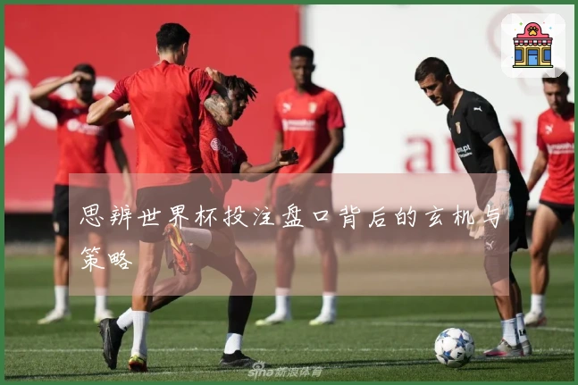 思辨世界杯投注盘口背后的玄机与策略