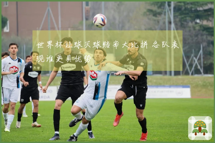 世界杯让球买球赔率大比拼 各队表现谁更具优势