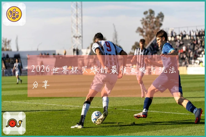 2026世界杯买球的最佳策略与玩法分享