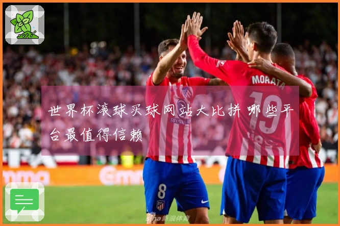 世界杯滚球买球网站大比拼 哪些平台最值得信赖