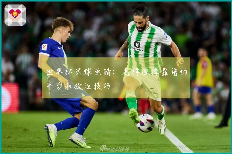 世界杯买球竞猜：怎样选择靠谱的平台和投注技巧