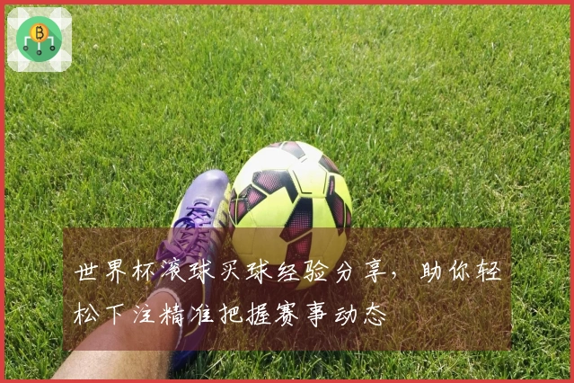 世界杯滚球买球经验分享，助你轻松下注精准把握赛事动态