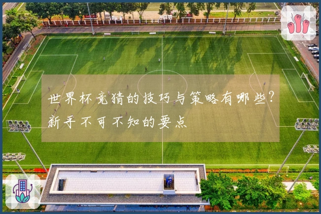 世界杯竞猜的技巧与策略有哪些？新手不可不知的要点