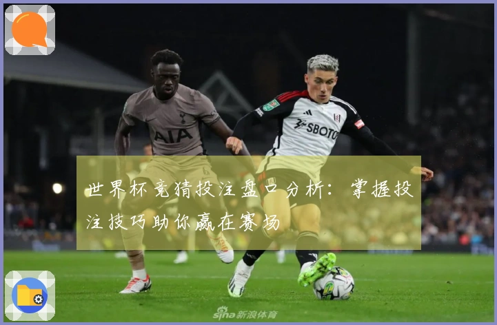 世界杯竞猜投注盘口分析：掌握投注技巧助你赢在赛场