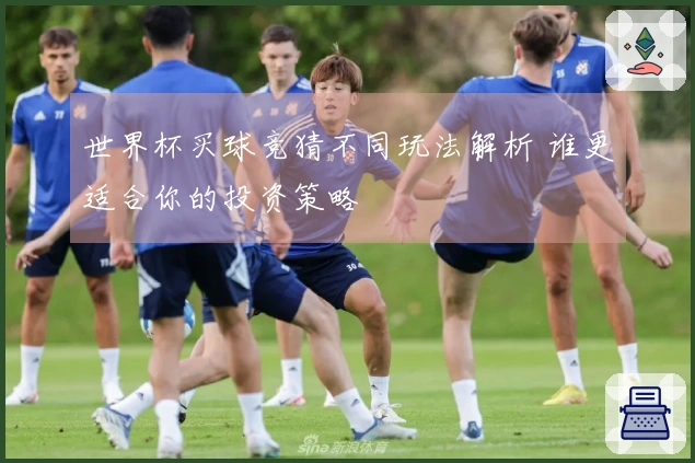 世界杯买球竞猜不同玩法解析 谁更适合你的投资策略