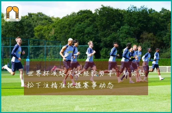 世界杯滚球买球经验分享，助你轻松下注精准把握赛事动态