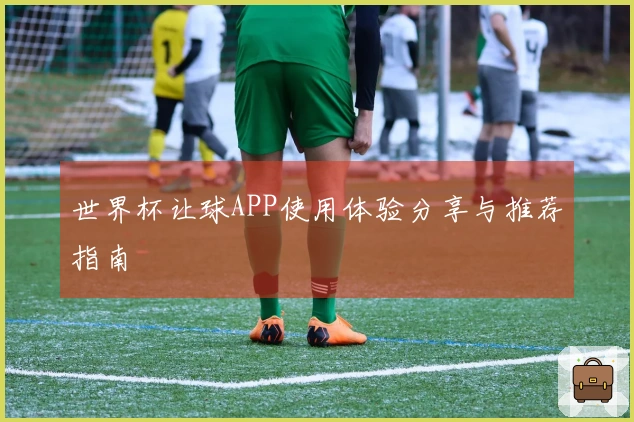 世界杯让球APP使用体验分享与推荐指南