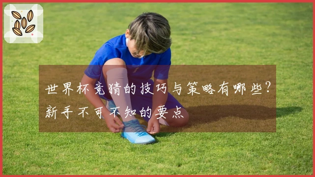 世界杯竞猜的技巧与策略有哪些？新手不可不知的要点