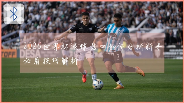 2026世界杯滚球盘口如何分析新手必看技巧解析