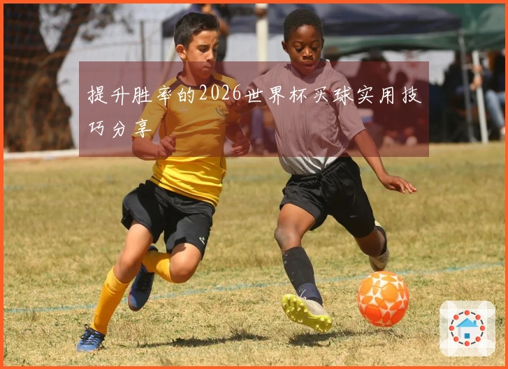 提升胜率的2026世界杯买球实用技巧分享