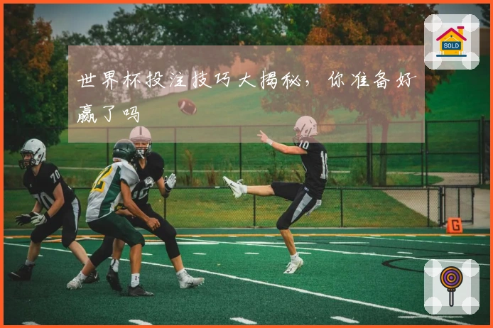 世界杯投注技巧大揭秘，你准备好赢了吗