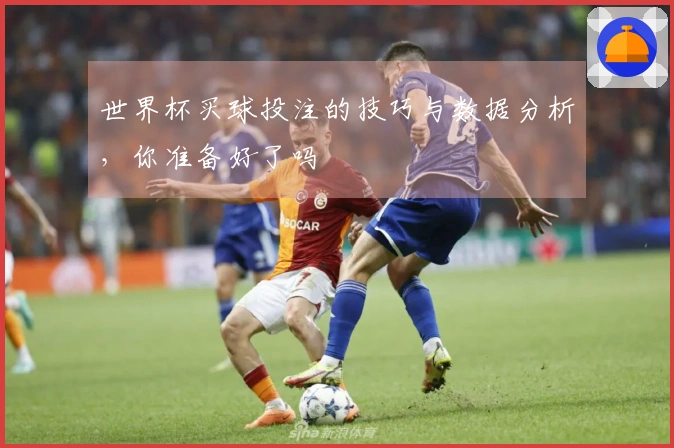 世界杯买球投注的技巧与数据分析，你准备好了吗