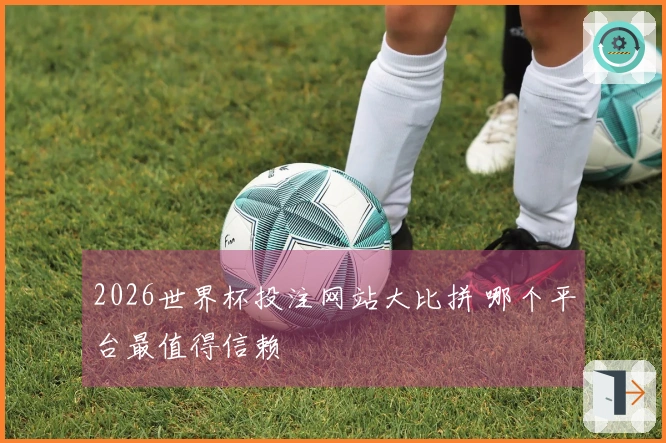 2026世界杯投注网站大比拼 哪个平台最值得信赖